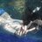 Barbiriux's profile image