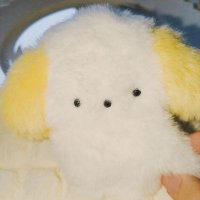 つきぐも🌕☁ (@nui_labo) 's Twitter Profile Photo つきぐも🌕☁ (@nui_labo) 's Twitter Profile Photo