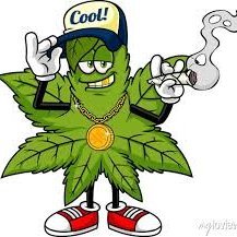 Weedcoinfun Profile Picture