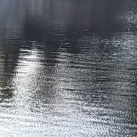 ヨシヅ (@yoshidsu_m) 's Twitter Profile