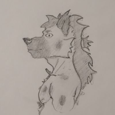 🇲🇽 / minor / suggestive? / I like to draw furry trash / I think I'm bi / bad English