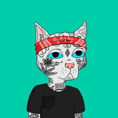 ZibaBubble's profile picture. $QORPO