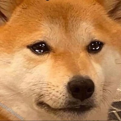 trashgame2021's profile picture. playing wow since 2010