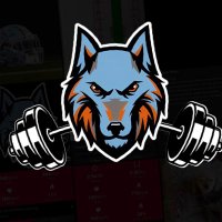 Ballantyne Ridge Athletic Performance (@brhswolves_ap) 's Twitter Profile
