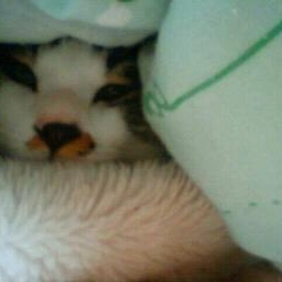 qihitngshi74410's profile picture. ガザ攻撃は許し難いジェノサイド
パレスチナ問題に特化して現地のSNS情報を紹介
フェイクの可能性があるものは取り上げませんが最終は各自の判断
専門家ではないので基本コメントせず
ハマス支持ではありません