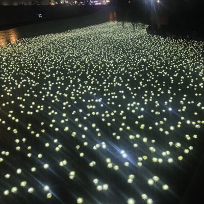 califor1234's profile picture. 