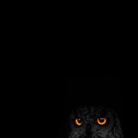 AdtobsSisu's profile picture. Dios es el más grande.