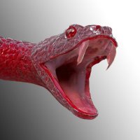 ۞ snake speak(@boacodex) 's Twitter Profile Photo