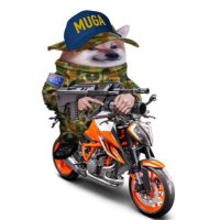 1290 SuperDukeFella 🇦🇺🇺🇦 (@superduker1301) 's Twitter Profile Photo 1290 SuperDukeFella 🇦🇺🇺🇦 (@superduker1301) 's Twitter Profile Photo