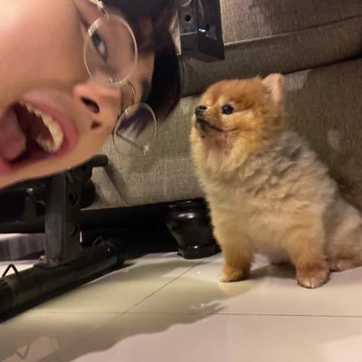 gornnotcorn's profile picture. 🩷💚💛🧡💜🩵