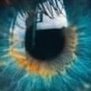 MKUltra & RSA survivor. Heterochromia
Kogarah Sydney Australia
Website down atm and currently being updated
#Ifollowback. No dms unless I know you