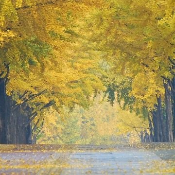 BOUZUさんのプロフィール画像