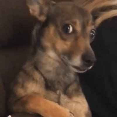 sohelpmegod16's profile picture. so tired