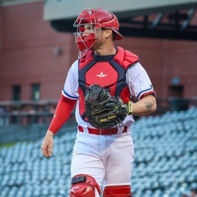 Gavin Collins Profile