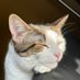 Raisin (@raisinninja) Twitter profile photo Raisin (@raisinninja) Twitter profile photo