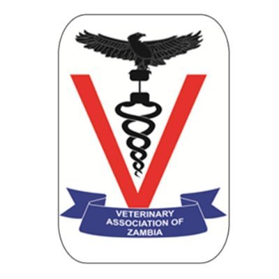 VAZ Promotes interests of VET professionals, para-professionals and allied disciplines in Zambia