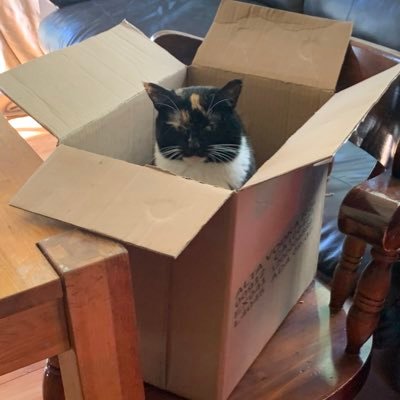 snarfmazula's profile picture. Free to choose