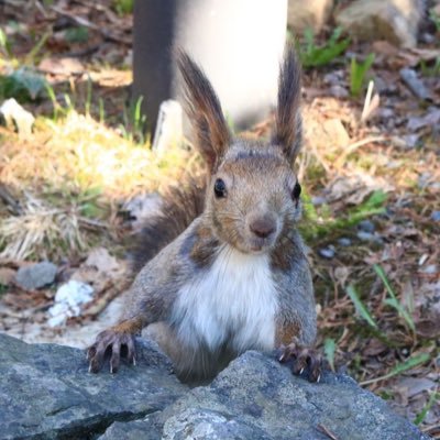 北海道の地方に移住し起業/弱小企業の一人親方/等身大の日常/日々頑張るあなたの味方/転んでもまた立ち上がる/ゆっくりでも前進/ネガティブ人間のポジティブな生き様/一社十勝プラス代表/元協力隊/元バックパッカー/道内道の駅制覇/スイーツ @memurocycle https://t.co/lsqjeKV3xQ