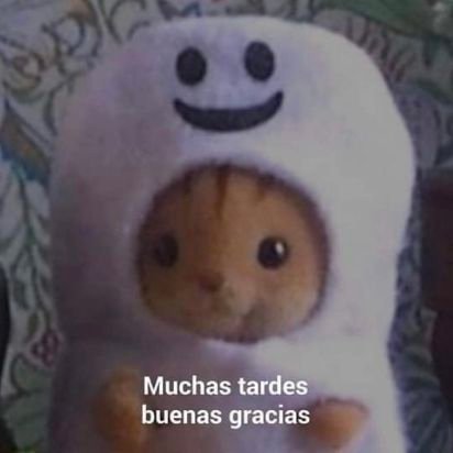 srtafrizzle's profile picture. she/they. pineapple on pizza. orange juice with pulp.