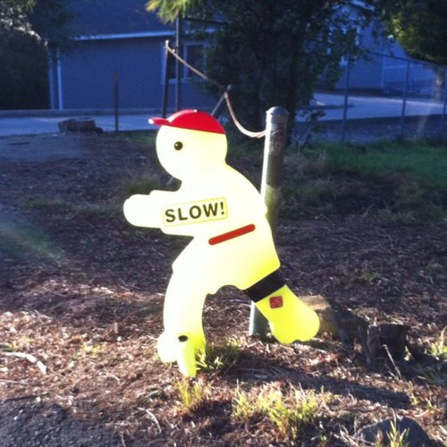 TimFrogner's profile picture. 