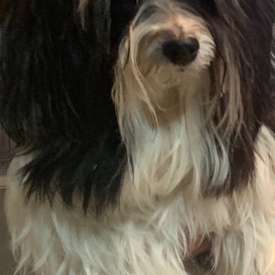 Ecrewbuys's profile picture. INDEPENDENT THINKER