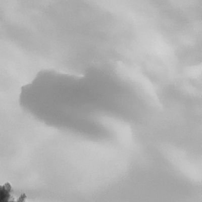 SRT1460805's profile picture. 