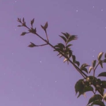 nat_m50021's profile picture. 21F | Adult