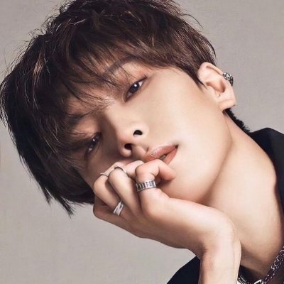 AnydaInaya's profile picture. Wonwoo_Hoshi