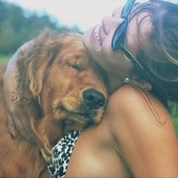 Dog Lovers Club 🇱🇷(@dog_lover_club) 's Twitter Profile Photo