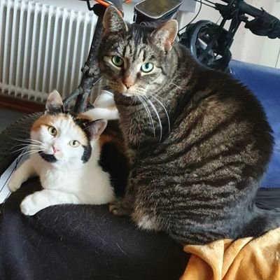 Gillar aktier & Fonder. Även wannabe prepper och förespråkare av galärträning.