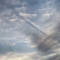 Sky (@flswsrm) 's Twitter Profile