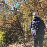 なつきち (@na2king_hiking) 's Twitter Profile