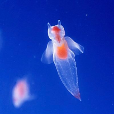 shingo281's profile picture. 