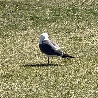 閲覧用さんのプロフィール画像