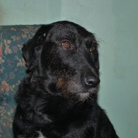 Dominique ZIEGLER🐦🐱🐶🌳🐗🦄🎀 (@epeire51) 's Twitter Profile Photo Dominique ZIEGLER🐦🐱🐶🌳🐗🦄🎀 (@epeire51) 's Twitter Profile Photo
