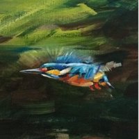 JVertebrBiol (@jvertebrbiol) 's Twitter Profile