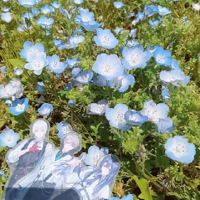 ❄️さんのプロフィール画像
