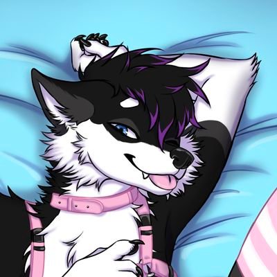 Vex_Wusky 🔜 NFCさんのプロフィール画像