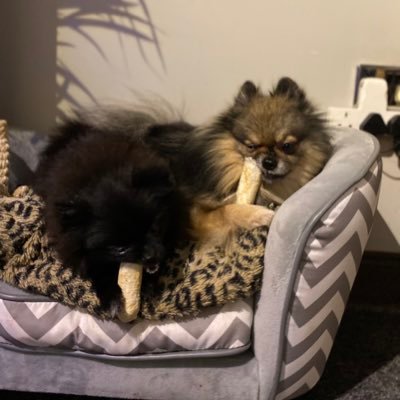 WPom2022's profile picture. 