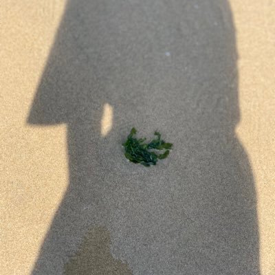 feynman1024's profile picture. 一个低级码农，准备先做个垃圾产品