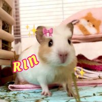 Bali's♡ルアク (@balis3103n) 's Twitter Profile