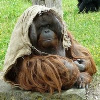 Anarkistkompisen🏴he/they (kink discourse enjoyer) (@anarkistkompis1) 's Twitter Profile Photo