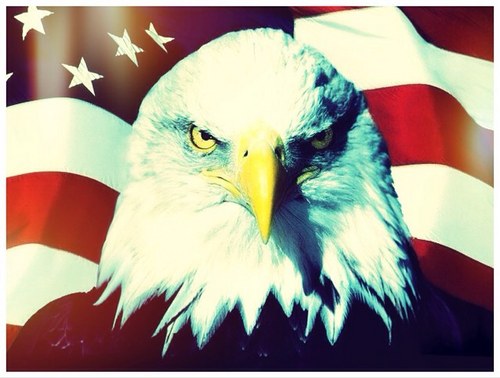 Jkap225's profile picture. 