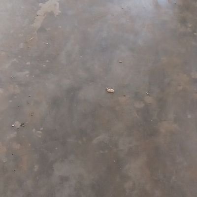 ffctey880's profile picture. 