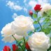 Ali Zaky (@93d0qejaa896987) Twitter profile photo Ali Zaky (@93d0qejaa896987) Twitter profile photo