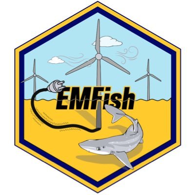 Marine ECR Cooperation Project funded by @EM_OYSTER 🦈🔊🔌
Project managed by @LottePohl, @DavidCBlanch & @LotteSDahlmo.