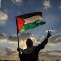 Free Palestine!! 🇵🇸💜 from the river to the sea (@fel_calafel) 's Twitter Profile