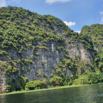 anhvnit's profile picture. 