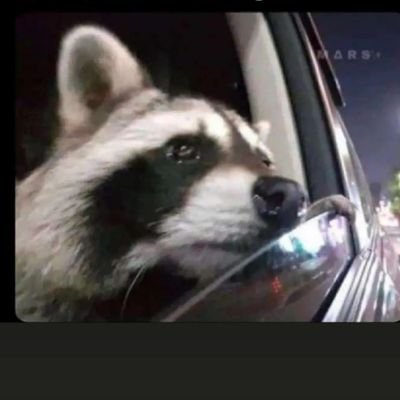 VickKagawa's profile picture. 