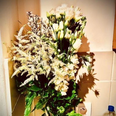 pepcocks's profile picture. 